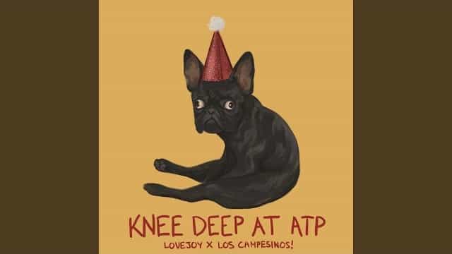 Knee Deep at ATP Lyrics - Lovejoy