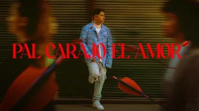 Pal Carajo el Amor Lyrics - FMK