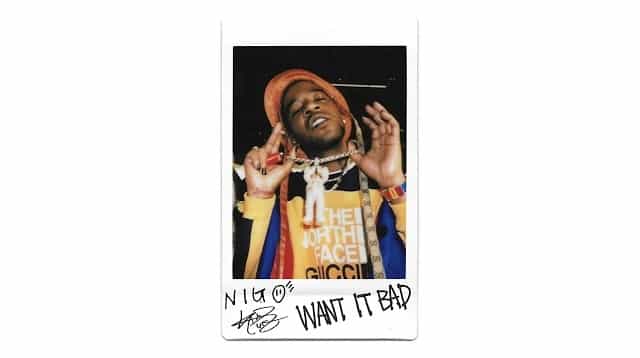 Want It Bad Lyrics - Kid Cudi & Nigo