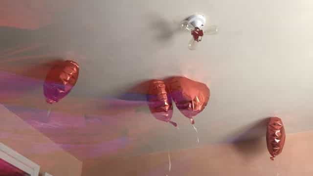 Freedom Lyrics - Jenny Hval