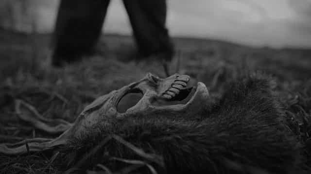 Mateusz Lyrics - Szpaku