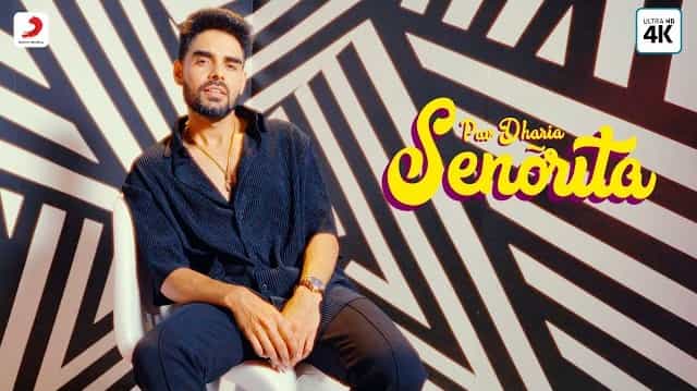 Senorita Lyrics - Pav Dharia