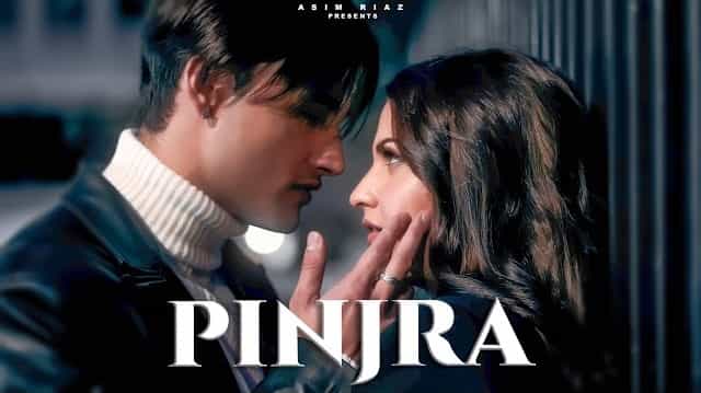 Pinjra Lyrics - Asim Riaz | Himanshi khurana