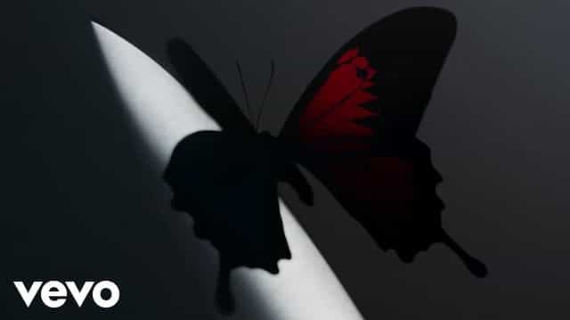 Lemon Tree Lyrics - Post Malone