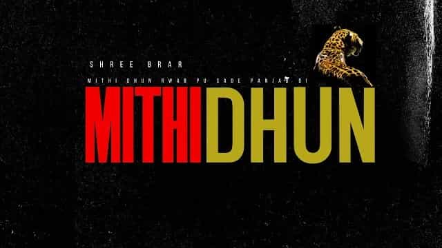 Mithi Dhun Lyrics - Shree Brar