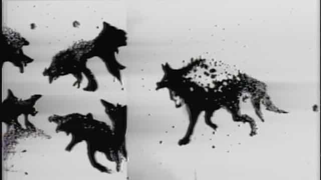 Feed Lyrics - Demi Lovato