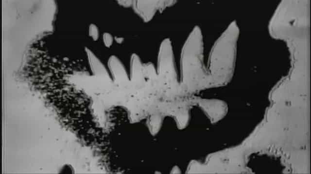 Holy FVCK Lyrics - Demi Lovato