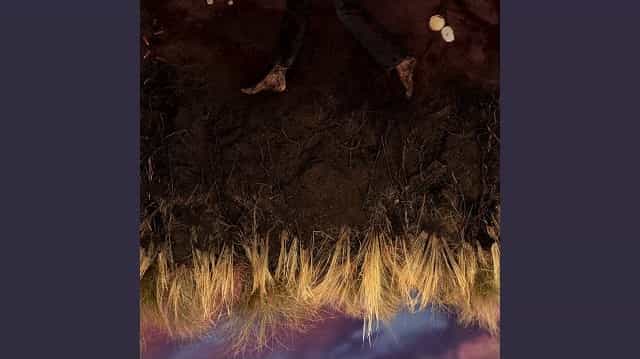 All Things End Lyrics - Hozier