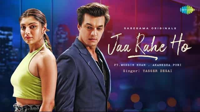 Jaa Rahe Ho Lyrics - Yasser Desai