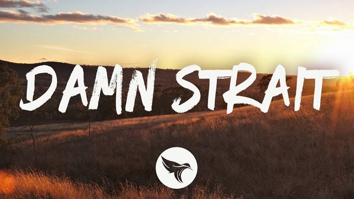 Full Lyrics Of Damn Strait Song Full Lyrics Of Damn Strait Song
