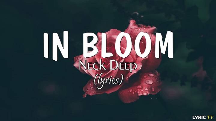 Full Lyrics Of In Bloom Song Full Lyrics Of In Bloom Song