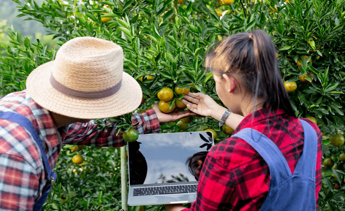 Avoiding Pitfalls: Common Mistakes to Steer Clear of in Geo-Farming Avoiding Pitfalls: Common Mistakes to Steer Clear of in Geo-Farming