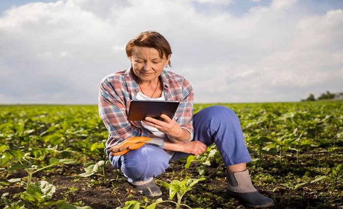 Farming Futures: Why Regrow Ag Offers Unparalleled Career Growth Farming Futures: Why Regrow Ag Offers Unparalleled Career Growth