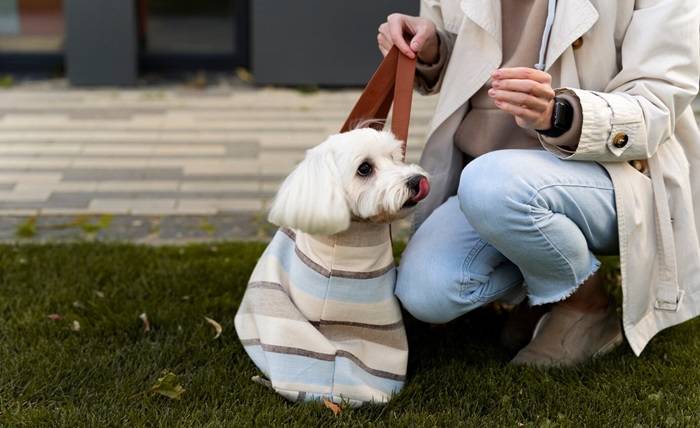 Keep Your Furry Friend Safe in Style: Discover Two Tails Pet Company’s Stylish and Secure Dog Tags! Keep Your Furry Friend Safe in Style: Discover Two Tails Pet Company's Stylish and Secure Dog Tags!