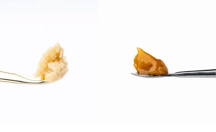 BHO vs. Rosin: Exploring Extraction Methods and Their Impact on Quality BHO vs. Rosin: Exploring Extraction Methods and Their Impact on Quality
