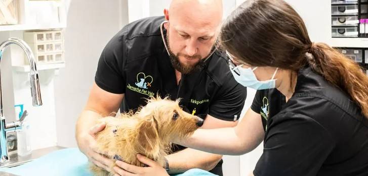 Ensuring Your Pets Wellness: Discovering the Premier Veterinary Clinic in Dubai Ensuring Your Pets Wellness: Discovering the Premier Veterinary Clinic in Dubai