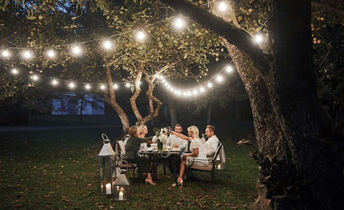 Brightening Your Nights: The Magic of Garden Lights Brightening Your Nights: The Magic of Garden Lights