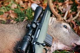 Why a Gun Case is Essential for Every Hunter: Protect Your Firearm with Confidence Why a Gun Case is Essential for Every Hunter: Protect Your Firearm with Confidence