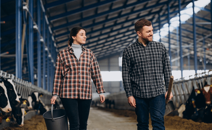 Choosing the Right Cattle Trailer for Safe and Efficient Livestock Transport Choosing the Right Cattle Trailer for Safe and Efficient Livestock Transport