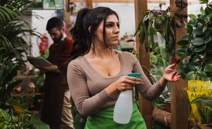 Ohio Plant-Based Product Laws: What Visitors Should Understand First Ohio Plant-Based Product Laws: What Visitors Should Understand First