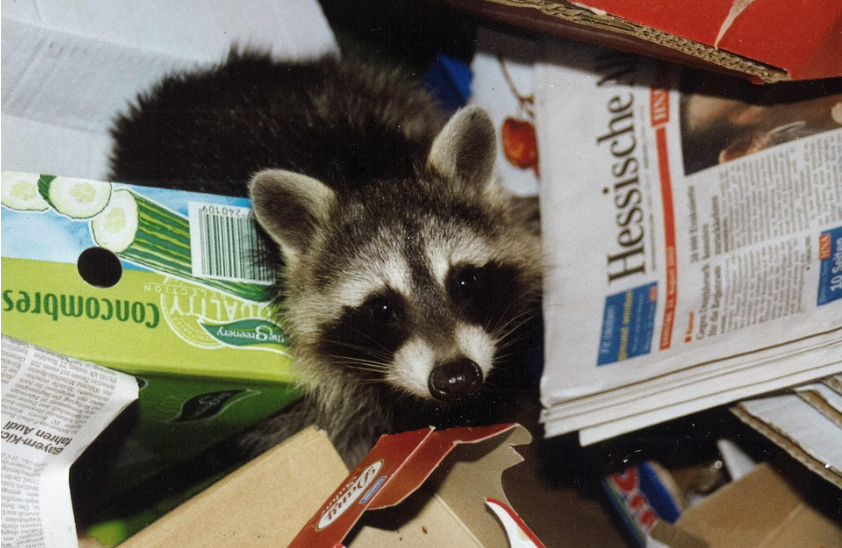 Can Humane Wildlife Control Advance ESG? Can Humane Wildlife Control Advance ESG?