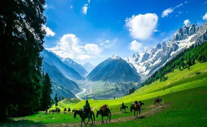 Interesting Facts about Jammu Kashmir & Ladakh Interesting Facts about Jammu Kashmir & Ladakh