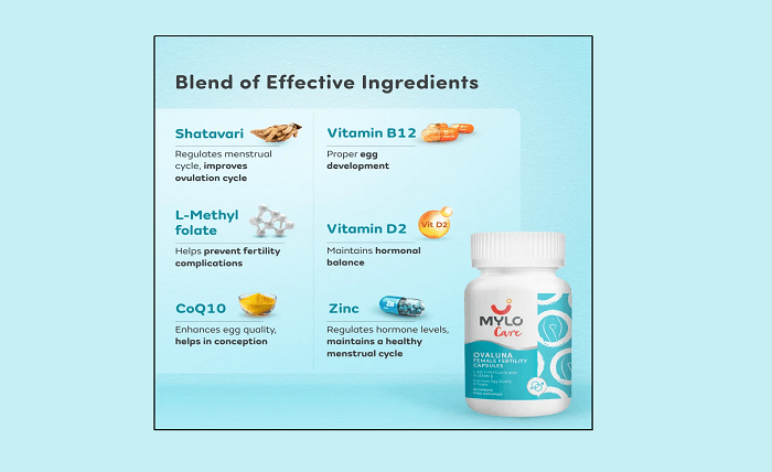 A Simple Guide to Hormonal Balance and Women’s Wellness Care A Simple Guide to Hormonal Balance and Women’s Wellness Care