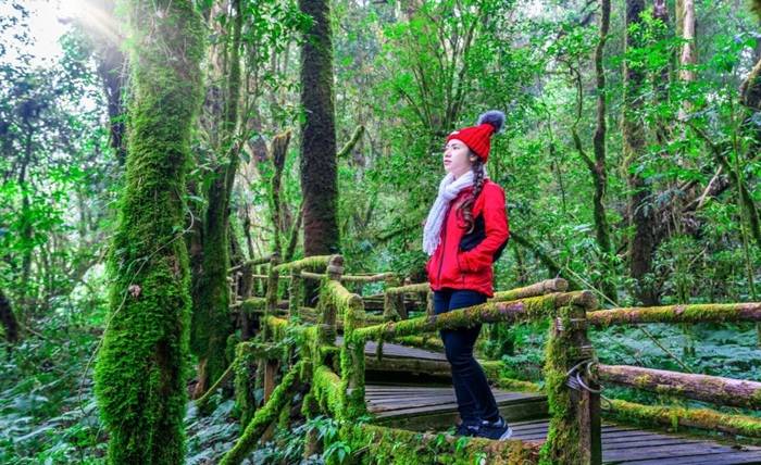 Impact of Choosing a Forest Edge Escape That Changes How You Experience Travel Impact of Choosing a Forest Edge Escape That Changes How You Experience Travel